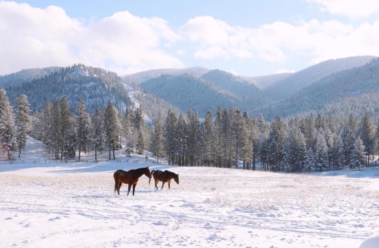 Riverview Ranch Alberton Экстерьер фото
